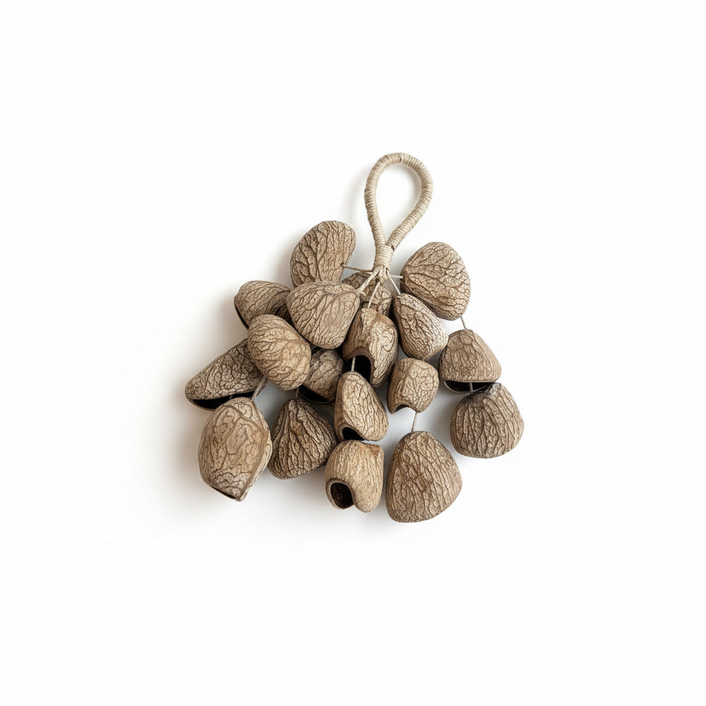 Ancient Vein Pods Handcrafted healing nutshell charm