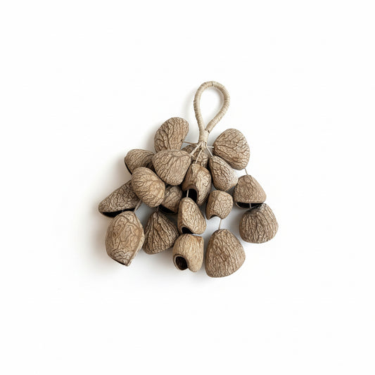 Ancient Vein Pods Handcrafted healing nutshell charm